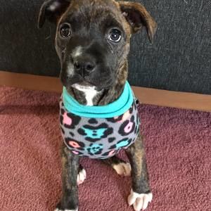 Meet your Posher, Kathren